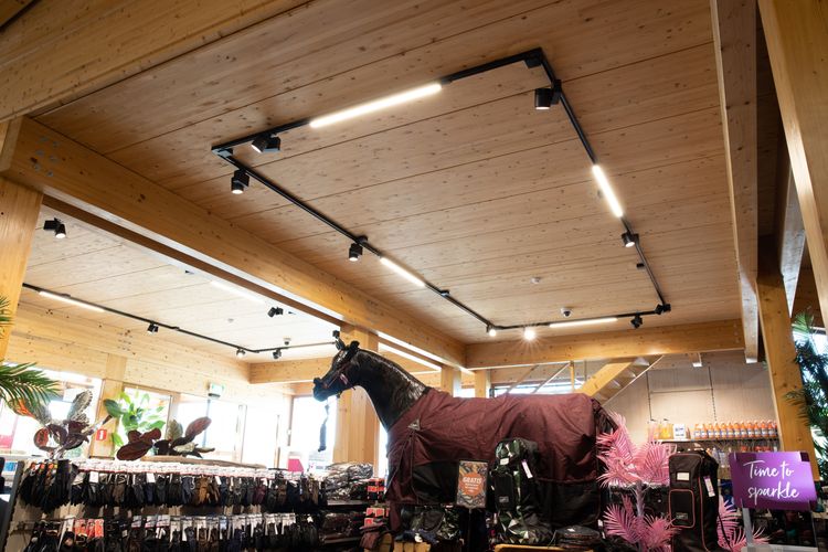 medium_Equidrome-venlo-20.jpg